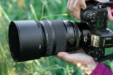 Better Bokeh with the NIKKOR Z 135mm f/1.8 S Plena Lens